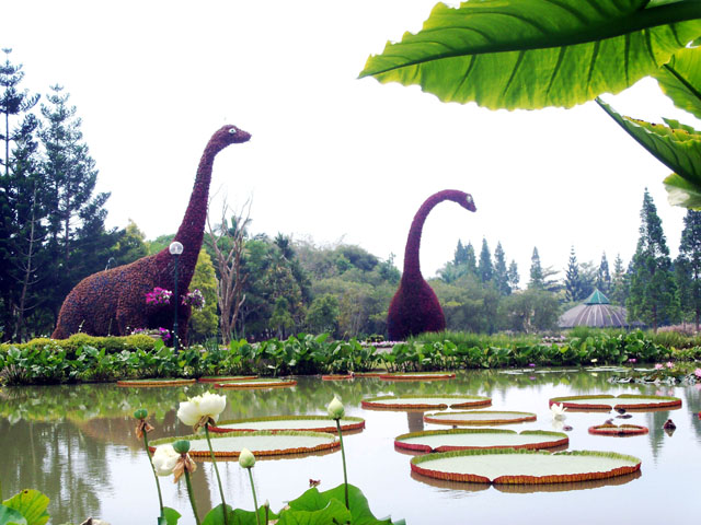 حديقة الزهور في بونشاك
تشتعر حديقة بونشاك نوسانتارا Taman Bunga Nusantara 